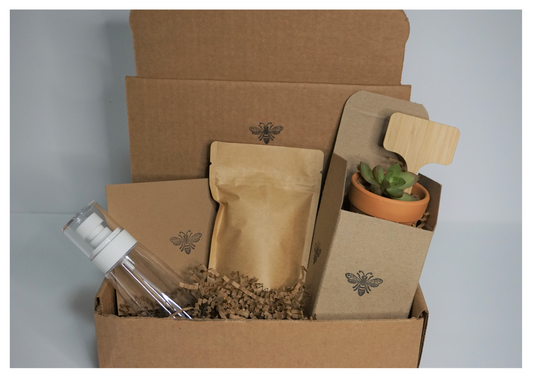 Succulent Starter Kit