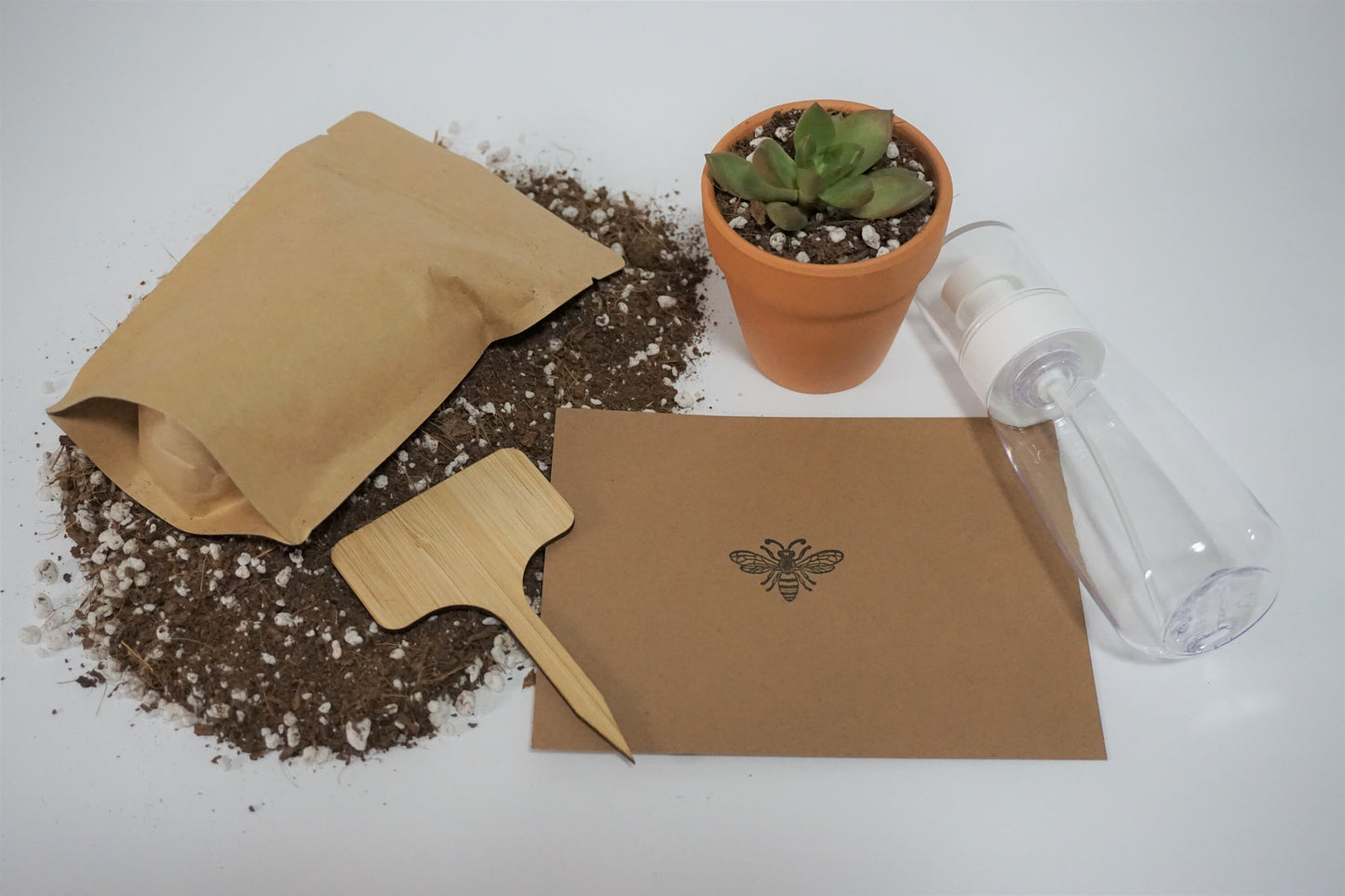 Succulent Starter Kit